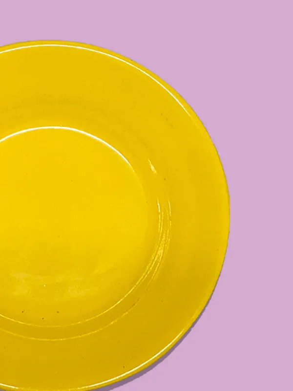 Melamine Double Glazed Plates MP14