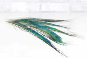 Peacock Sword Feather Set - Pack of 6
