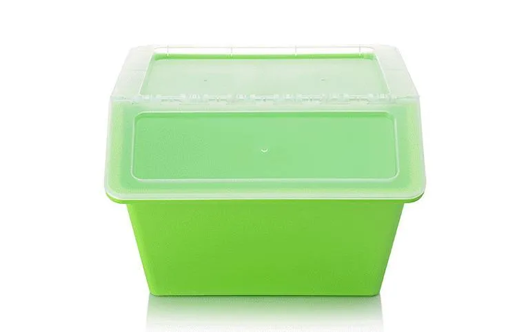 Shoppy Gosé Translucent Storage Box
