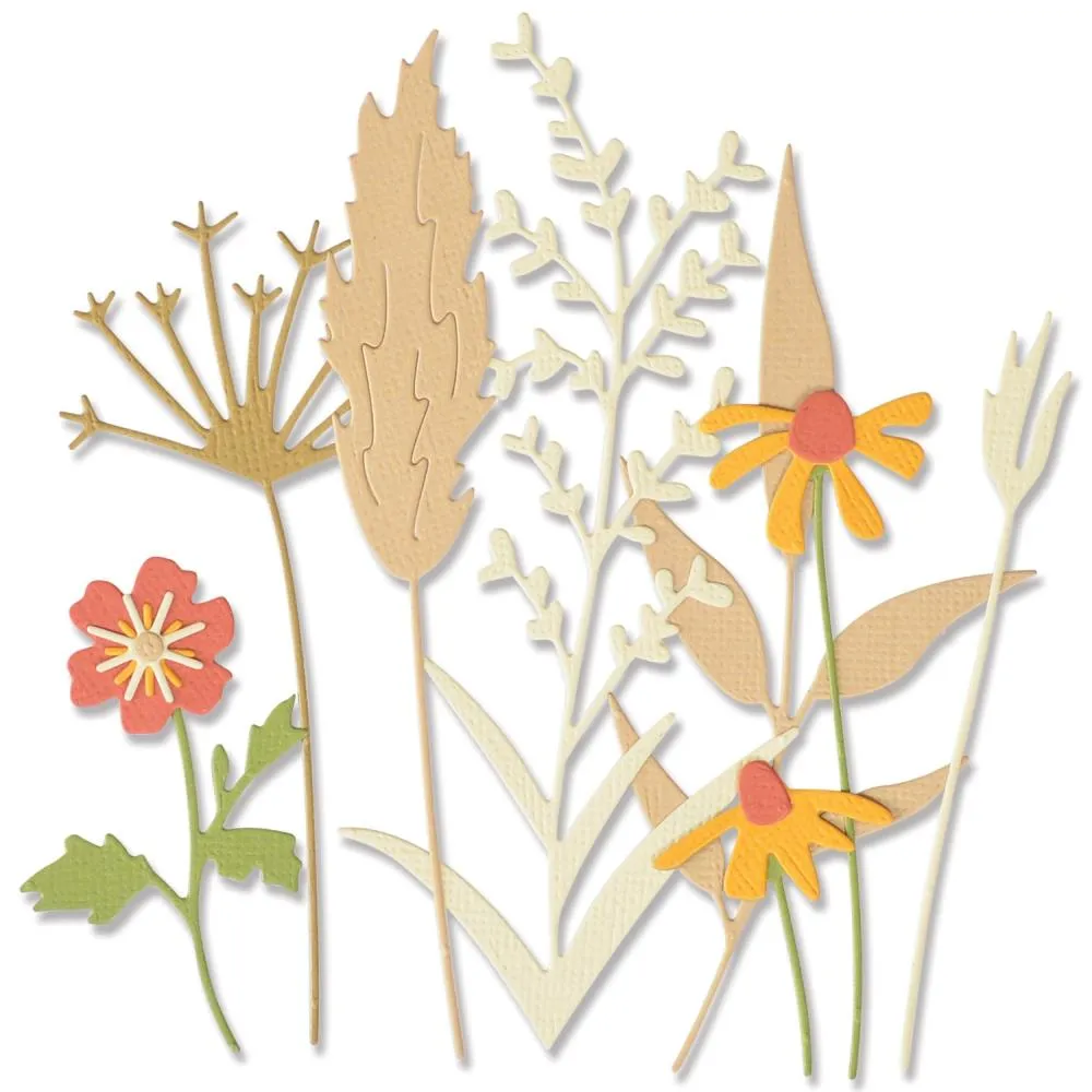 Sizzix Thinlits Dies By Olivia Rose 8 Pack - Delicate Autumn Stems*