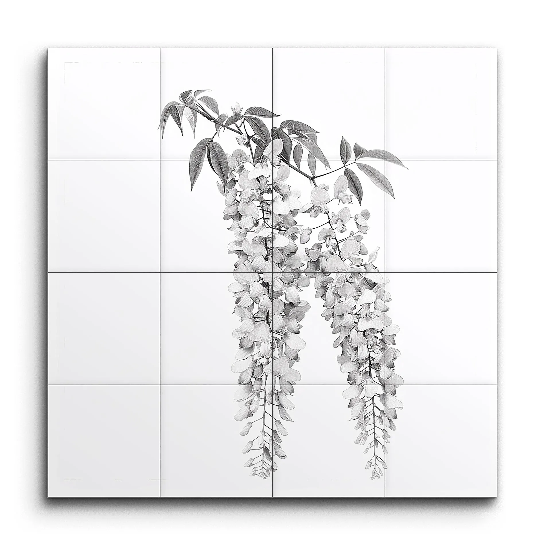 Timeless Elegance: Grayscale Hanging Wisteria