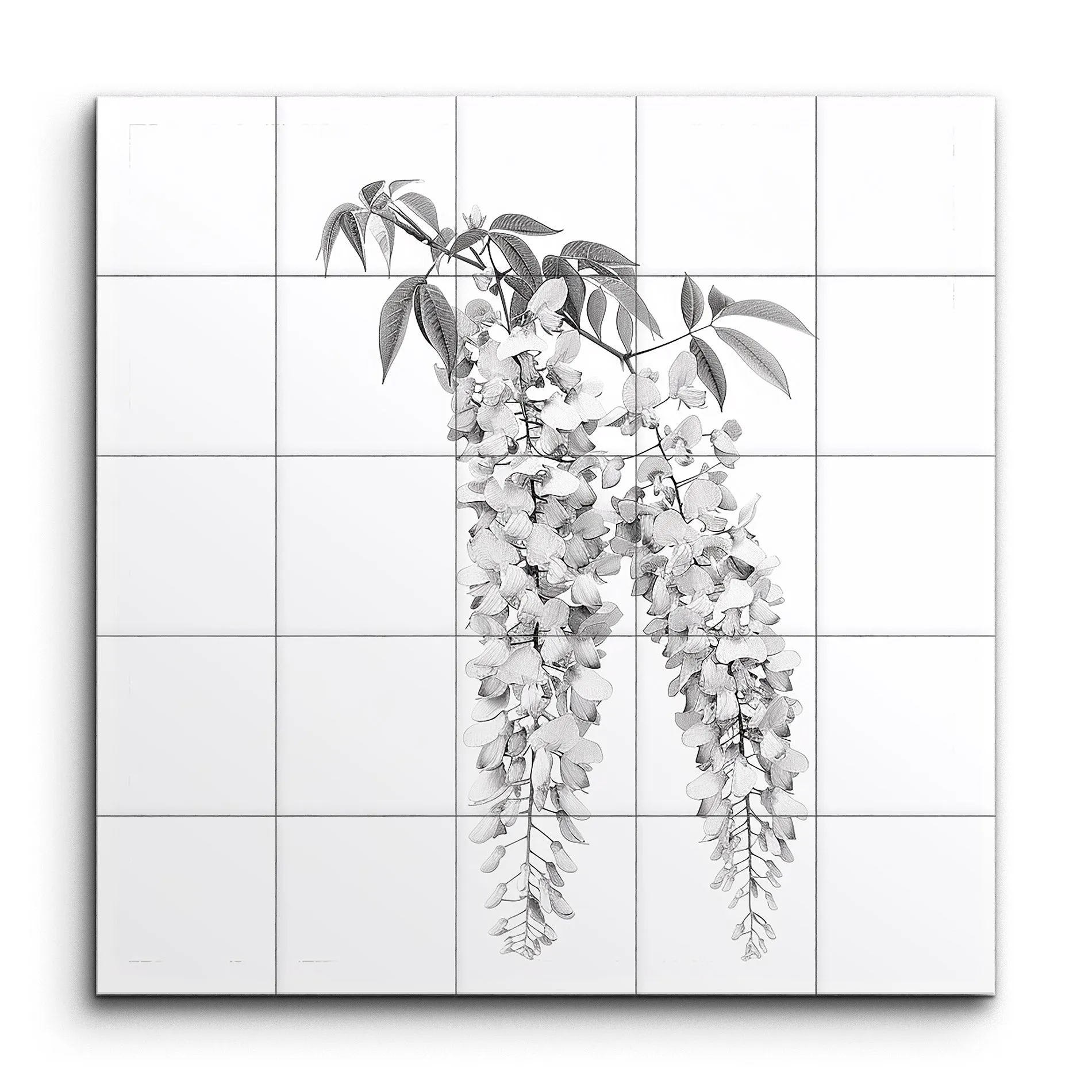 Timeless Elegance: Grayscale Hanging Wisteria