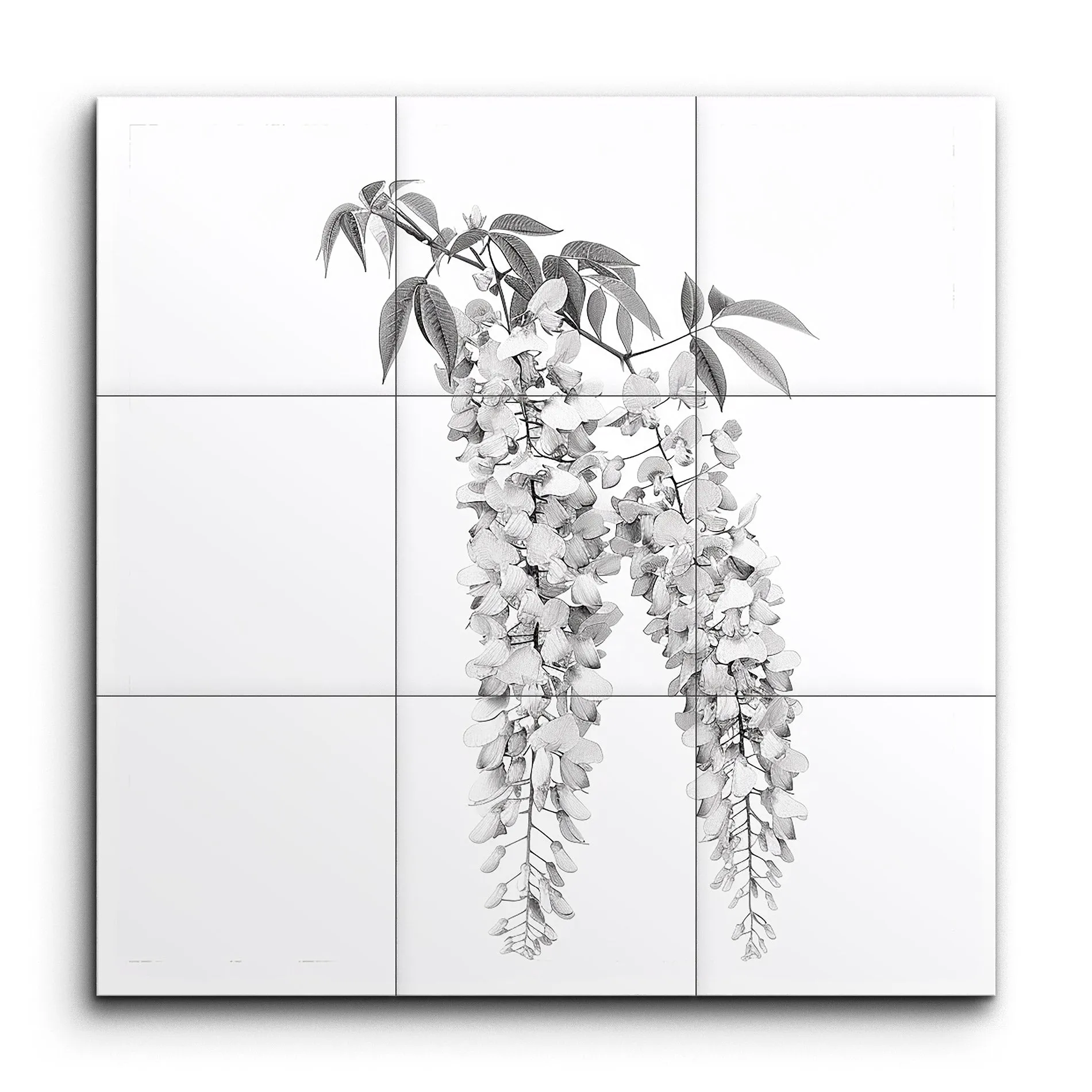 Timeless Elegance: Grayscale Hanging Wisteria