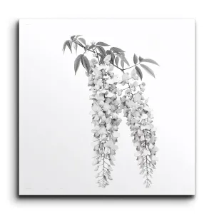 Timeless Elegance: Grayscale Hanging Wisteria