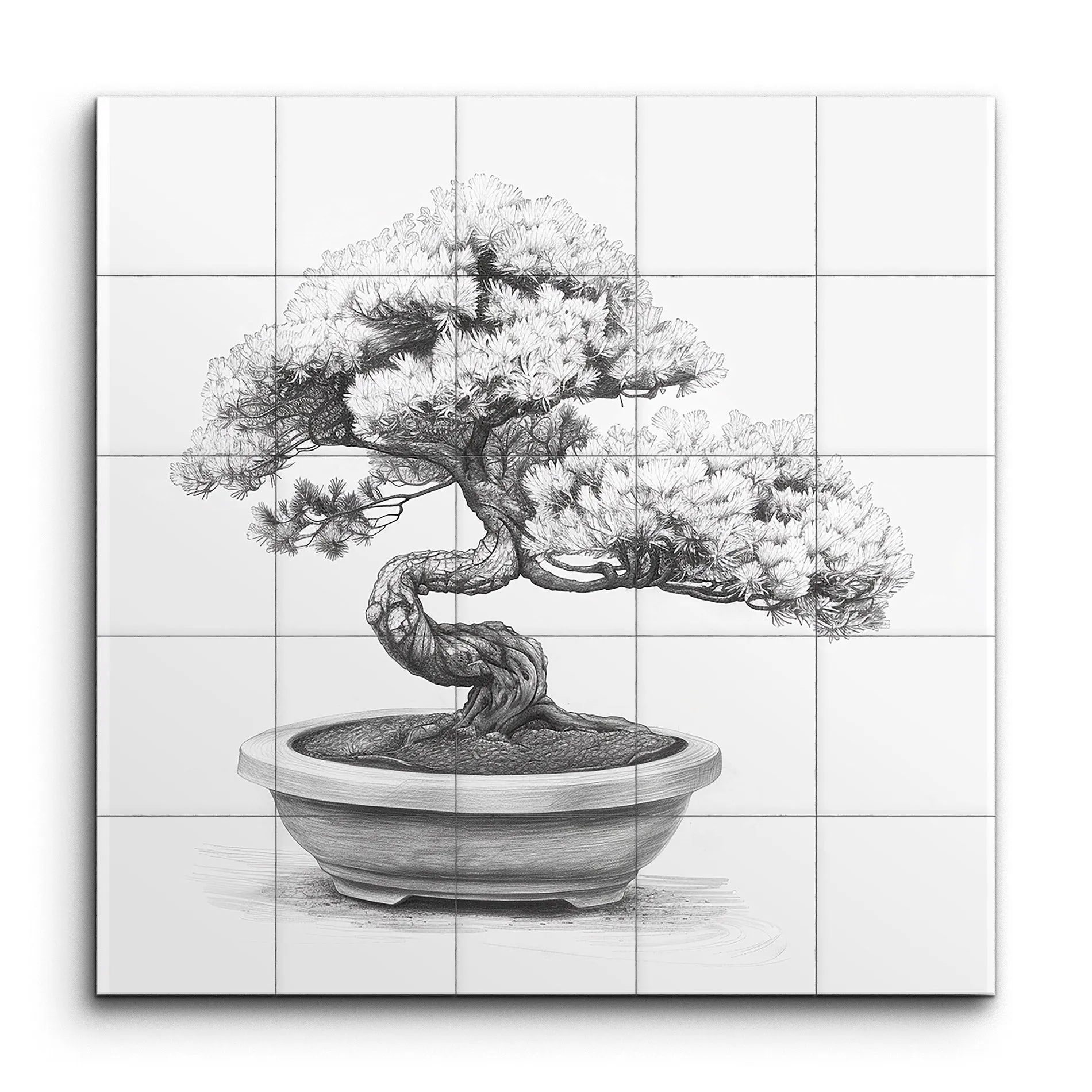 Tranquil Bonsai: Timeless Elegance in Monochrome
