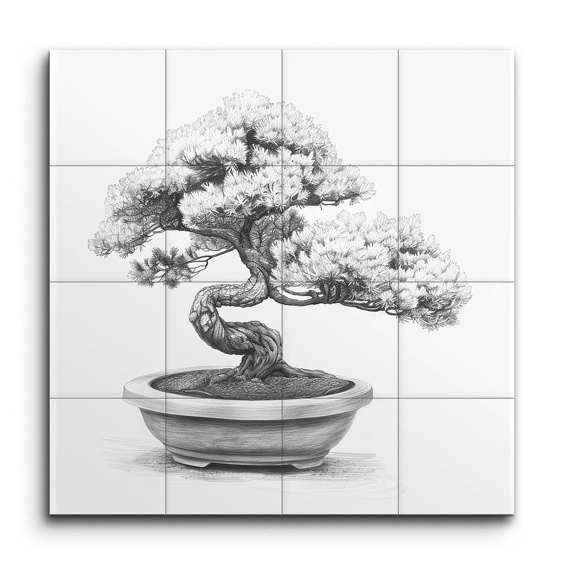 Tranquil Bonsai: Timeless Elegance in Monochrome