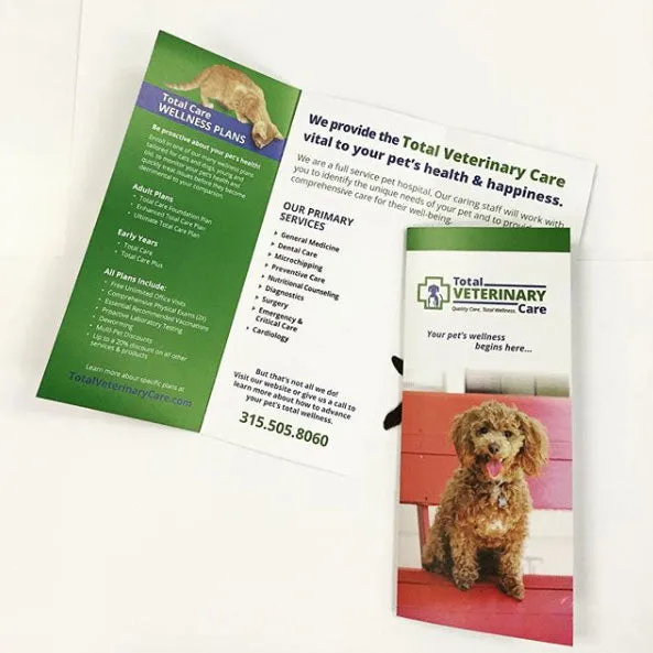 Tri-Fold Brochures